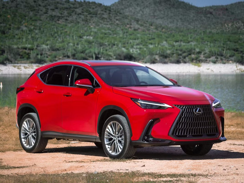 2022-2025 - LEXUS NX FWD/AWD - BC Racing Coilovers